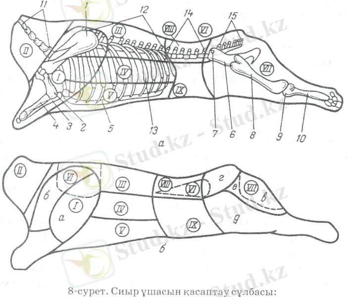 сканирование0026