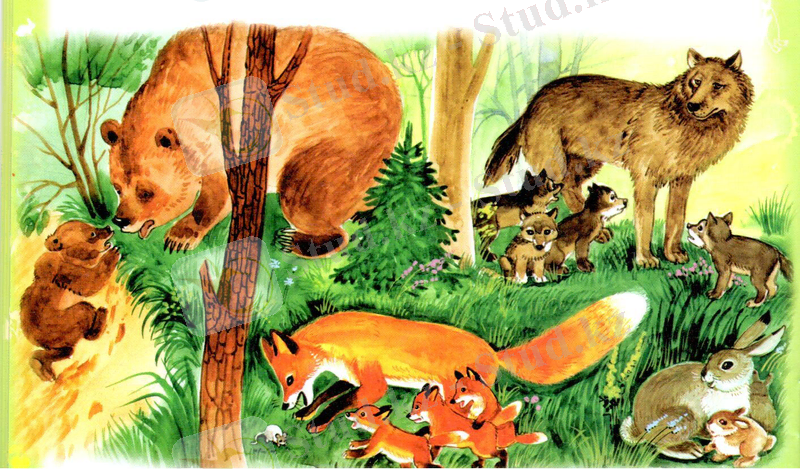 D:\Суреттер\маруся сканер3.jpeg