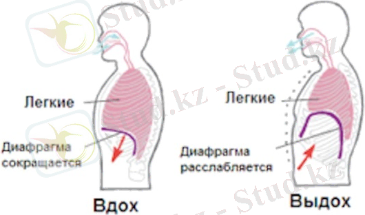 746cede4cc429f5a15086852f50a63b01