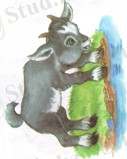 Рисунок (2).jpg