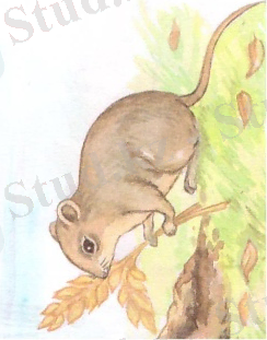 Рисунок (3).jpg