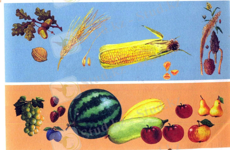 C:\Documents and Settings\Администратор\Рабочий стол\Акжанат\7.jpg