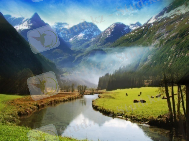 C:\Users\Admin\Desktop\Бекарыс жинақтары\IMAGE (634).JPG