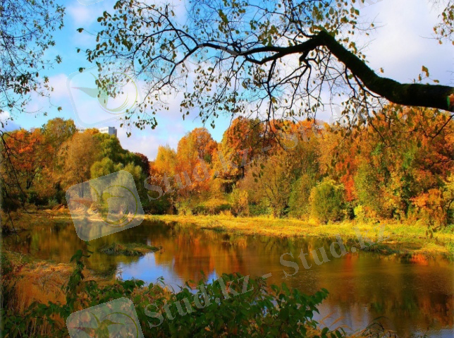 C:\Users\Admin\Desktop\Бекарыс жинақтары\IMAGE (823).JPG