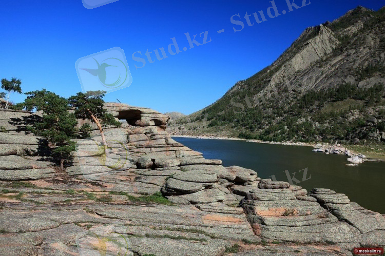 G:\шалкар\жасыбай көлі.jpg