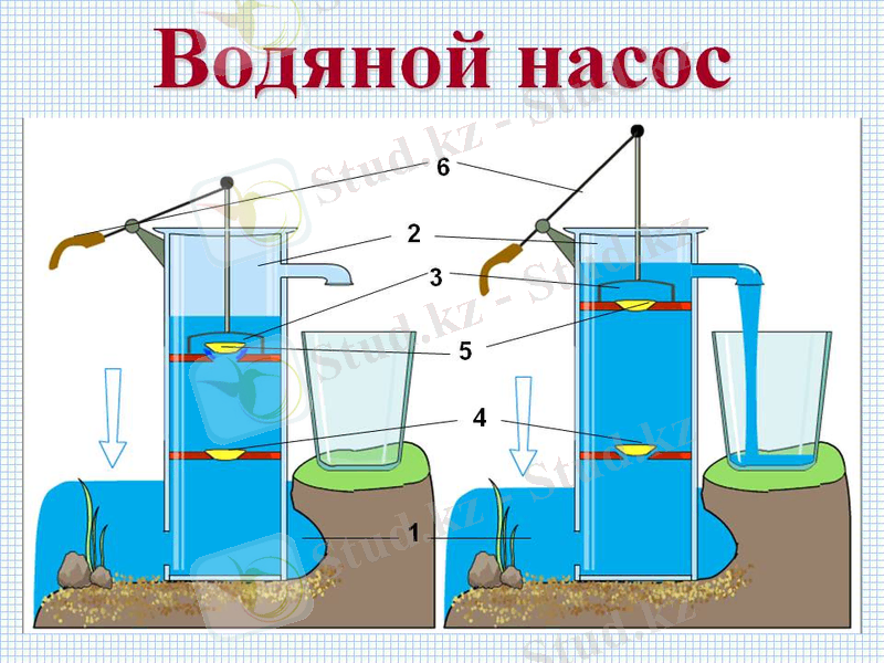 Водяной насос