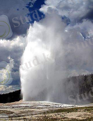 6a00e551c4c4d8883300e553da84e18834-320wi