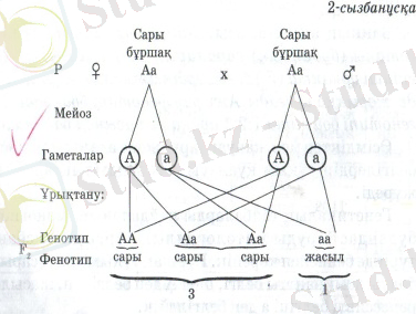 D:\Users\Асел\Pictures\20151126_230035 - копия.jpg