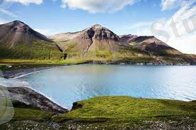 ANd9GcSu9lxvGKVWkRBabYXdptDJSi5-SQ4tac38q9ykmtV5GZsuNoEdxA