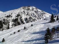 ANd9GcQCycTBWOgOFKgJjPX7ylYGDW7FAfnOYMGAiXBnkCvE3AEe0hvxmA