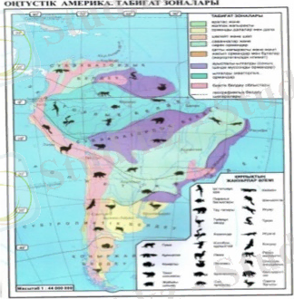 &Tcy;&acy;&bcy;&icy;ғ&acy;&tcy; &zcy;&ocy;&ncy;&acy;&lcy;&acy;&rcy;&ycy;&ncy;&ycy;ң &mcy;&ycy;&ncy;&acy;&dcy;&acy;&jcy; &tcy;ү&rcy;&lcy;&iecy;&rcy;&iukcy; &bcy;&acy;&rcy;: &Ycy;&lcy;ғ&acy;&lcy;&dcy;&ycy; &ecy;&kcy;&vcy;&acy;&tcy;&ocy;&rcy;&lcy;&ycy;қ &ocy;&rcy;&mcy;&acy;&ncy;&dcy;&acy;&rcy; (&gcy;&icy;&lcy;&iecy;&yacy;) &Acy;&ucy;&ycy;&scy;&pcy;&acy;&lcy;&ycy; &ycy;&lcy;ғ&acy;&lcy;&dcy;&ycy; &ocy;&rcy;&mcy;&acy;&ncy;&dcy;&acy;&rcy; (&scy;&iecy;&lcy;&softcy;&vcy;&acy;&scy;)  ... 