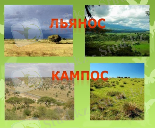 &ZHcy;&acy;ң&acy; &scy;&acy;&bcy;&acy;қ&tcy;&ycy; &bcy;&iecy;&kcy;&iukcy;&tcy;&ucy;: *&Ocy;ң&tcy;ү&scy;&tcy;&iukcy;&kcy; &Acy;&mcy;&iecy;&rcy;&icy;&kcy;&acy;&ncy;&ycy;ң &zhcy;&acy;&zcy;&ycy;қ &bcy;ө&lcy;&iukcy;&gcy;&iukcy;&ncy;&dcy;&iecy; қ&acy;&ncy;&dcy;&acy;&jcy; &tcy;&acy;&bcy;&icy;ғ&acy;&tcy; &zcy;&ocy;&ncy;&acy;&lcy;&acy;&rcy;&ycy; &ocy;&rcy;&ncy;&acy;&lcy;&acy;&scy;қ&acy;&ncy;? * «Ғ&acy;&lcy;&acy;&mcy;&shcy;&acy;&rcy;&dcy;&ycy;ң ө&kcy;&pcy;&iecy;&scy;&iukcy;» &dcy;&iecy; ... 