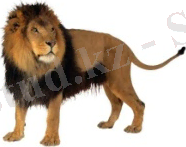 Картинка 104 из 124595