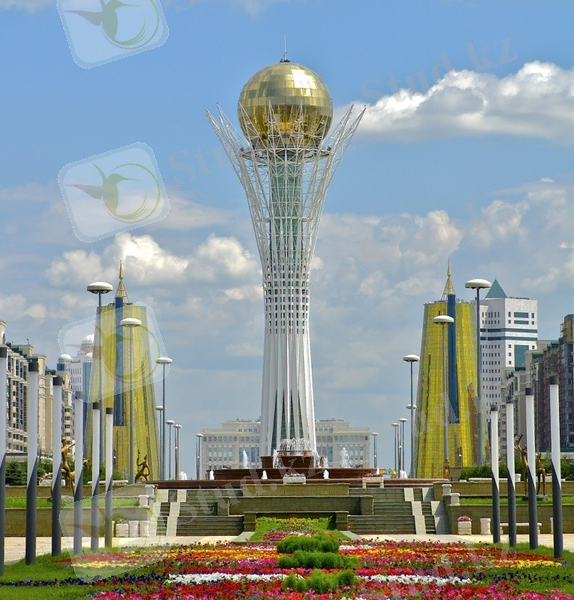 http://www.nayada-astana.kz/image/news/1515/gallery/gallery-1515-0003_f.jpg