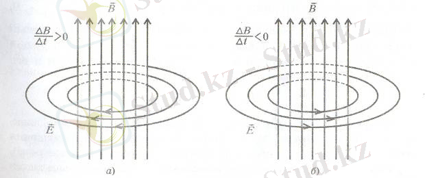 спорт зал 210
