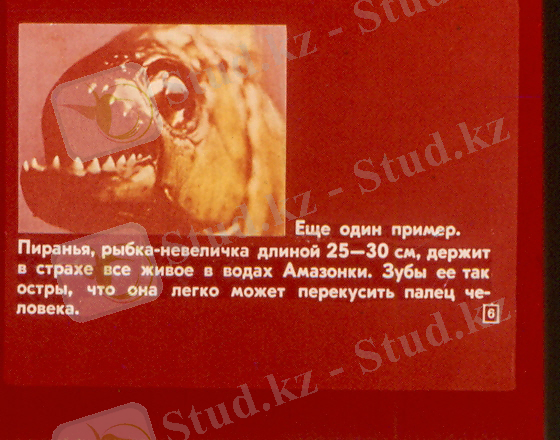 сканирование0060