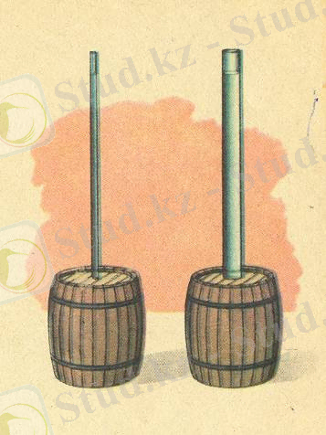 сканирование0006