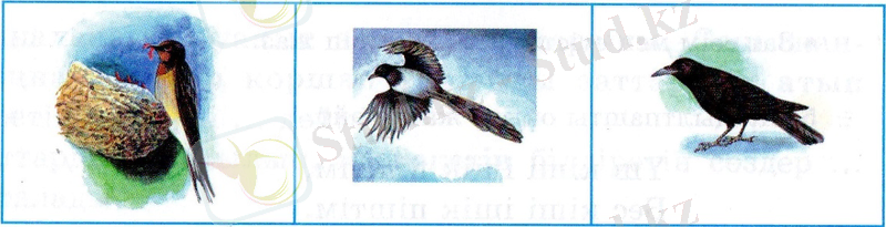 E:\img180 - копия (2).jpg