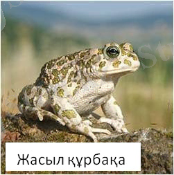 C:\Users\Руслан\Pictures\Рисунок1.jpg