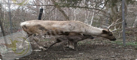 C:\Users\Acer\Documents\бугы ана1.jpg