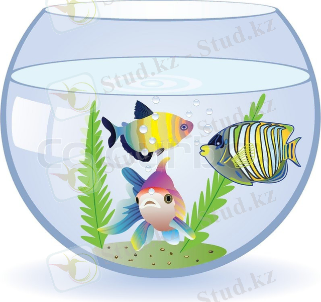 Похожее изображение