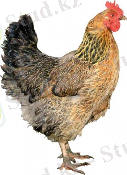 ÐÐ°ÑÑÐ¸Ð½ÐºÐ¸ Ð¿Ð¾ Ð·Ð°Ð¿ÑÐ¾ÑÑ ÐºÑÑÐ¸ÑÐ°