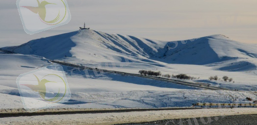 C:\Users\КАМИЛА\Downloads\қазығұрт тауы.jpg