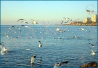 D:\Мои рисунки\Табиғат\3.jpg