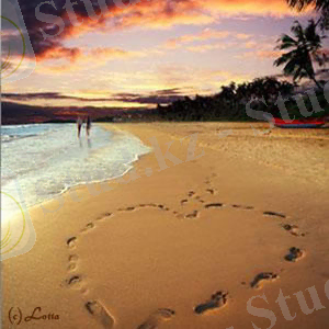 D:\Мои рисунки\Табиғат\20h.jpg