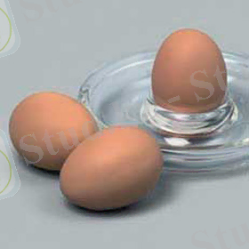 C:\Documents and Settings\Администратор\Рабочий стол\фото диплга\07516.jpg