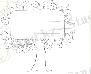 сканирование0004