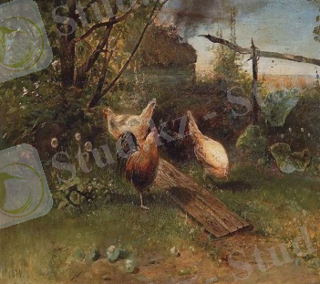Куры на задворках