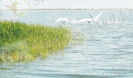 Описание: D:\Шалкар\IMG_0008.jpg