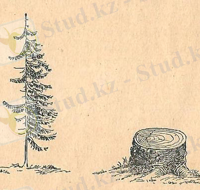 Описание: C:\Documents and Settings\user\Local Settings\Temporary Internet Files\Content.Word\Изображение 264.jpg