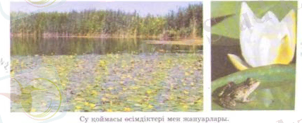 F:\сканер\пирлс 001.tif