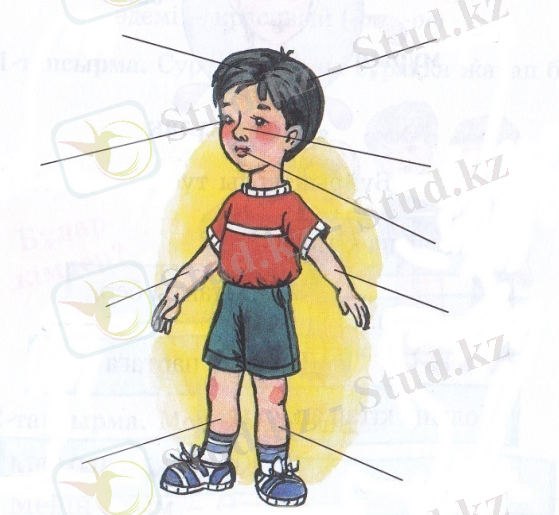 C:\Documents and Settings\Admin\Рабочий стол\2013_10_15\IMG_NEW.jpg