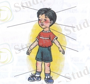 C:\Documents and Settings\Admin\Рабочий стол\2013_10_15\IMG_NEW.jpg