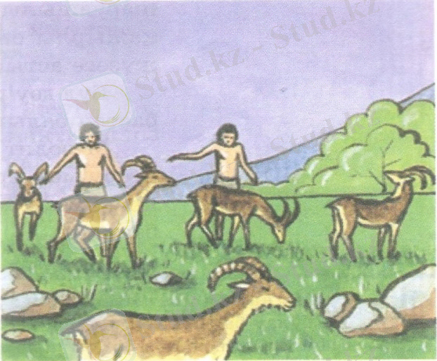 D:\с диск\Мои рисунки\Дамираа.jpeg