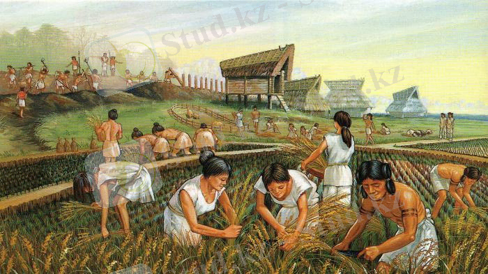 D:\с диск\Мои рисунки\мезолит егин.jpg