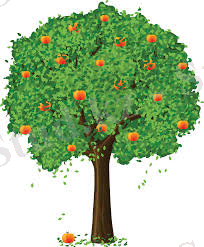 C:\Users\PC14\Desktop\images (9).jpg