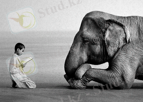 C:\Documents and Settings\Admin\Рабочий стол\CTO\102657994_1373015971_pravila_mudroy_zhizni.jpg