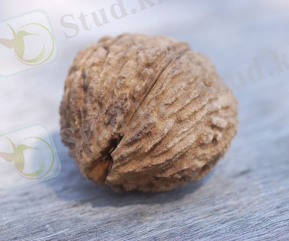 Восточная и народная медицина. Диагностика и лечение. * Здоровые советы