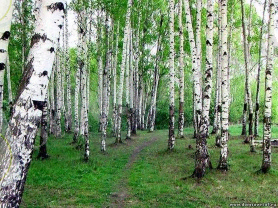 здоровье Записи с меткой здоровье Дневник Димитрия Полякова : LiveInternet - Российский Сервис Онлайн-Дневников