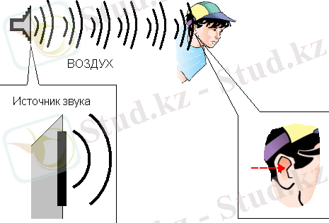 Иллюстрированный самоучитель по Adobe After Effects 6 › Общие сведения о цифровом видео › Звук