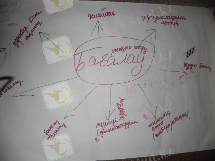 D:\2 деңгей бағдарламасы\Гульхан. Презентация № 2\SAM_0488.JPG