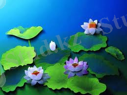 C:\Documents and Settings\User\Мои документы\Апликации\кепукен.jpeg