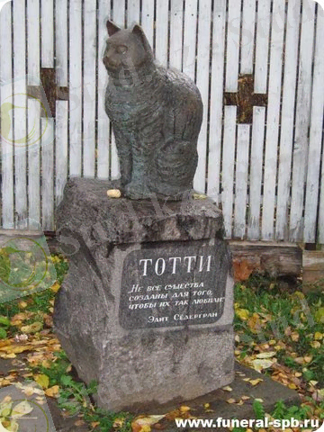 D:\МОИ ДОКУМЕНТЫ\6e973593cfd8.jpg