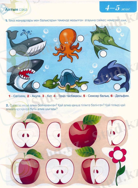 Изображение 002.jpg