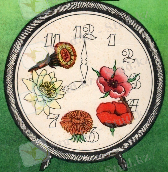 C:\Documents and Settings\User\Мои документы\Мои рисунки\img140.jpg