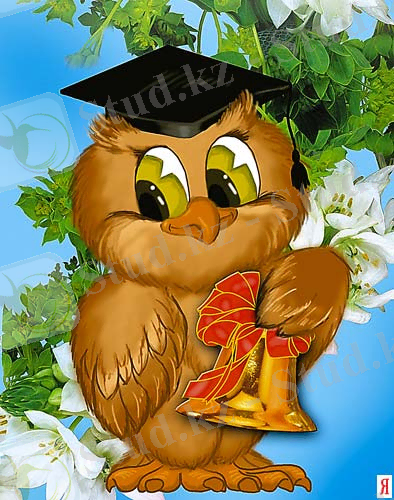 D:\Мои рисунки\Картинки\sova.jpg